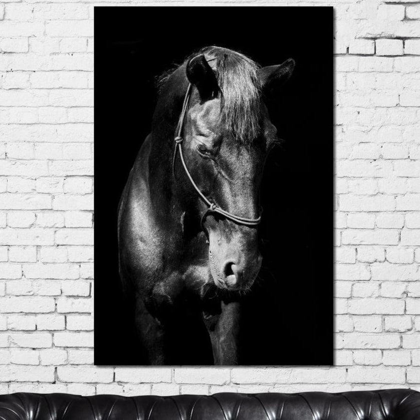 tablou canvas cu un cal surprins din profil in nuante de alb si negru, pe fundal intunecat