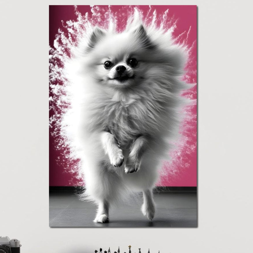 tablou canvas cu un pomeranian alb si pufos in miscare, pe fundal roz vibrant