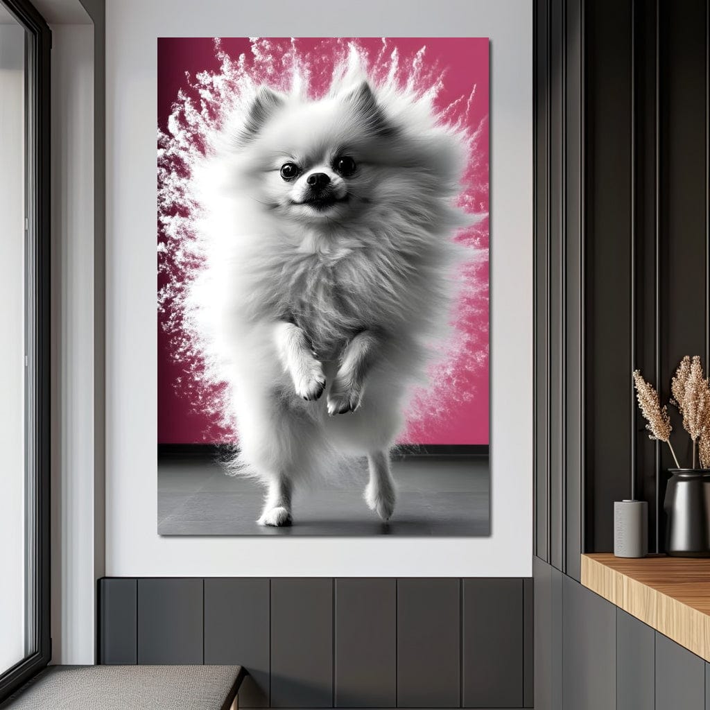 tablou canvas cu un pomeranian alb si pufos in miscare, pe fundal roz vibrant