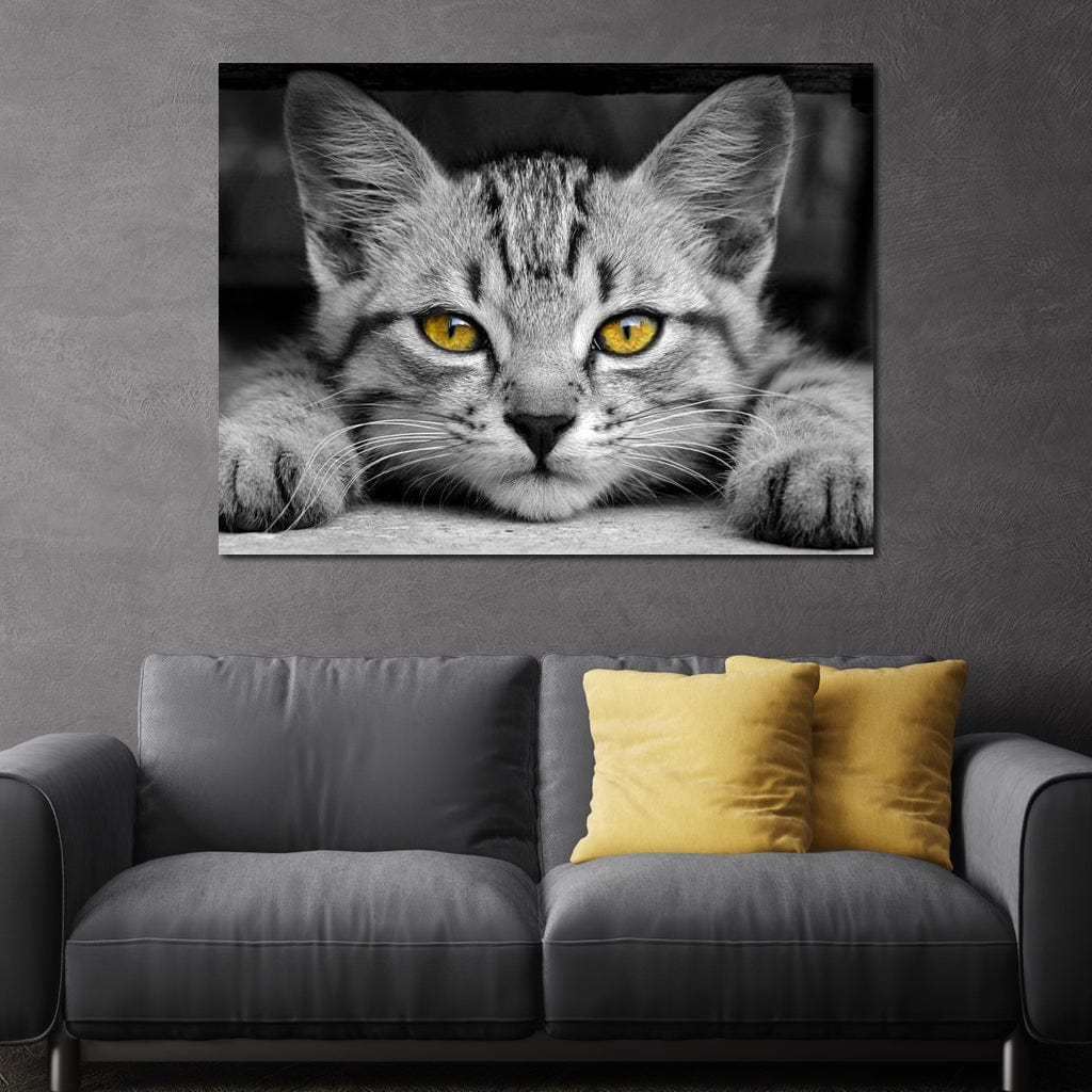 tablou canvas cu o pisica mica cu ochi galbeni si privire inocenta, pe fundal alb negru