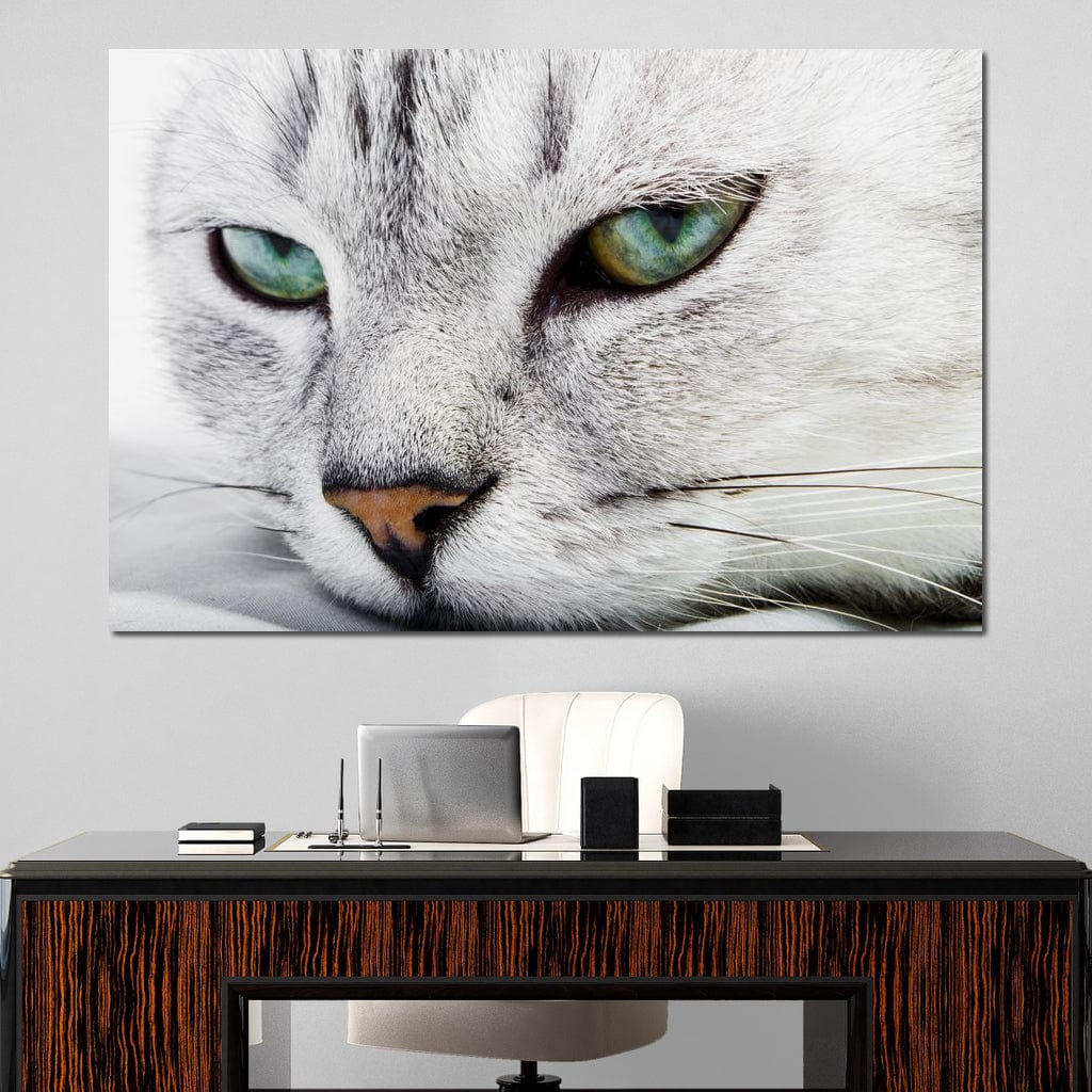 tablou canvas cu un chip de pisica cu blana alba si ochi verzi, pe fundal deschis
