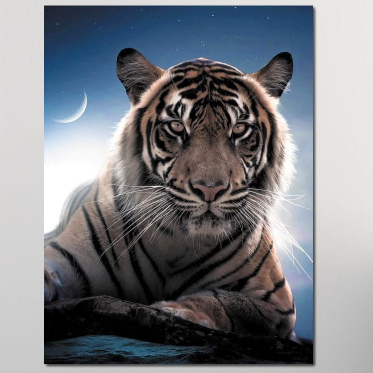 tablou canvas cu un tigru pe o stanca, sub lumina lunii pe cer senin plin de stele