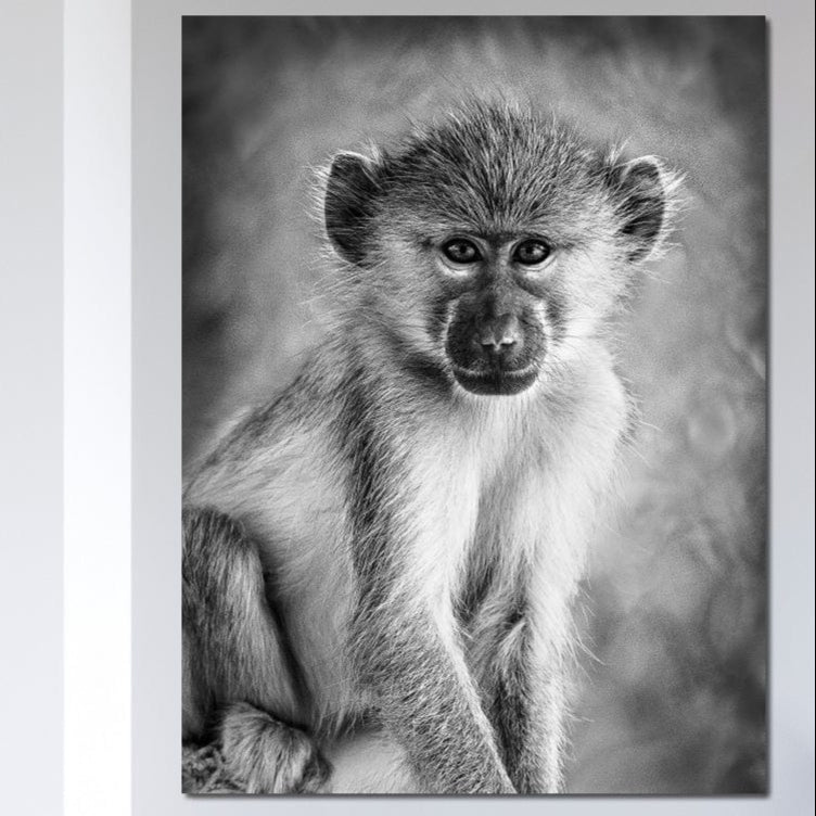 tablou canvas cu o maimuta mica redata realist in nuante alb si negru
