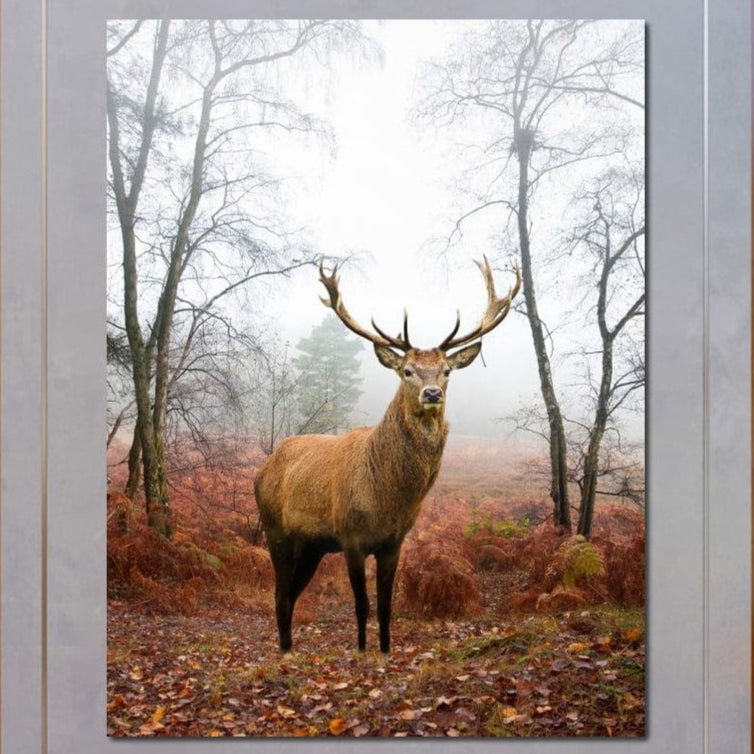 tablou canvas cu un cerb intr-o padure cu copaci si vegetatie aramie, in peisaj de toamna