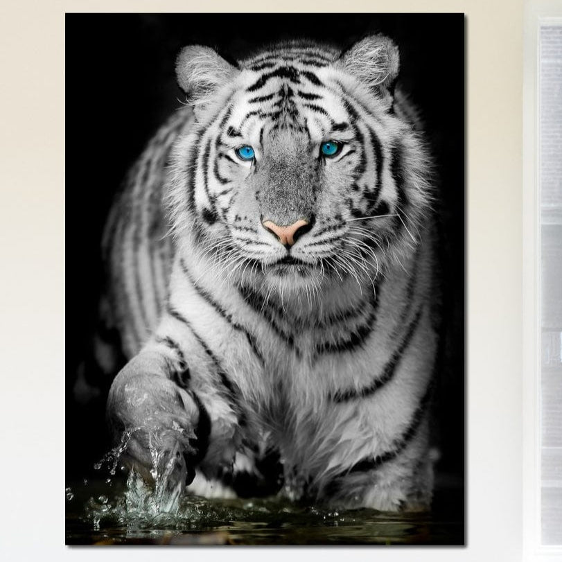 tablou canvas cu un tigru alb cu ochi albastri, pasind in apa pe fundal intunecat