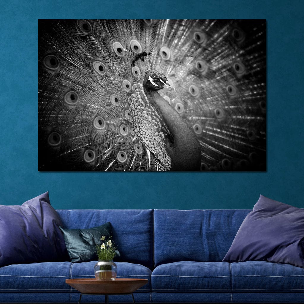 tablou canvas cu un paun cu penajul expus in nuante de alb si negru, pe fundal intunecat