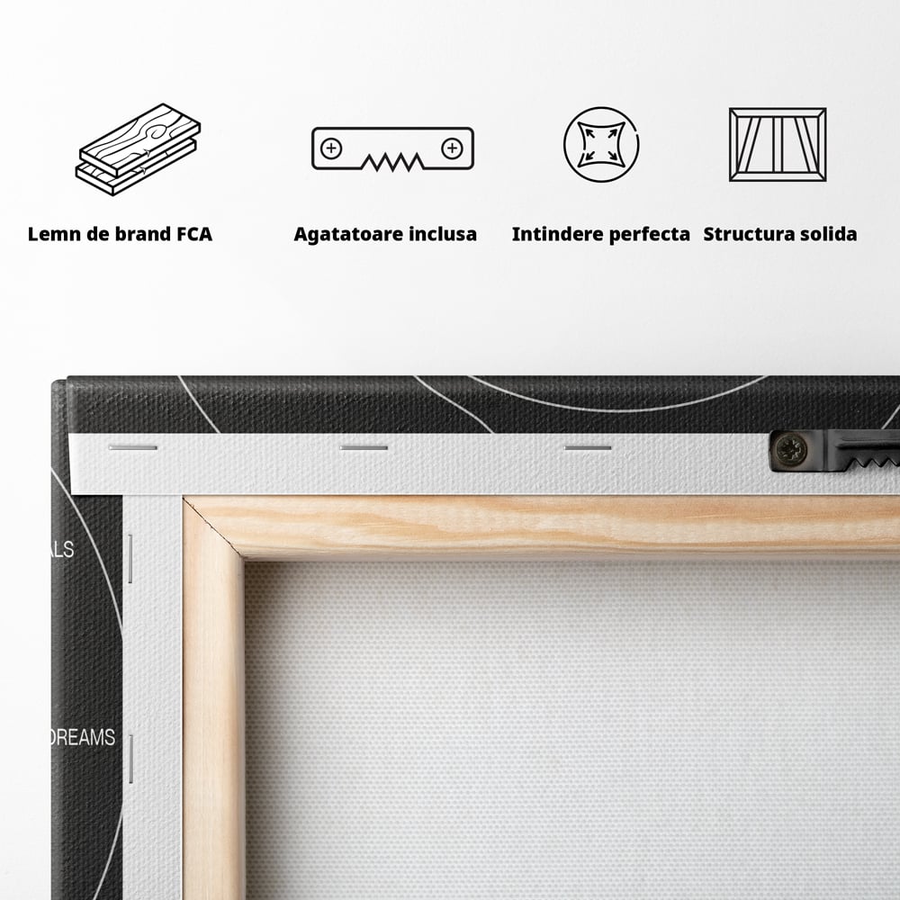 Tablou Canvas Premium LuxCanva® A1052, The Comfort Zone , Obiective, Succes, Pozitiv, Motivational, Culori Vibrante