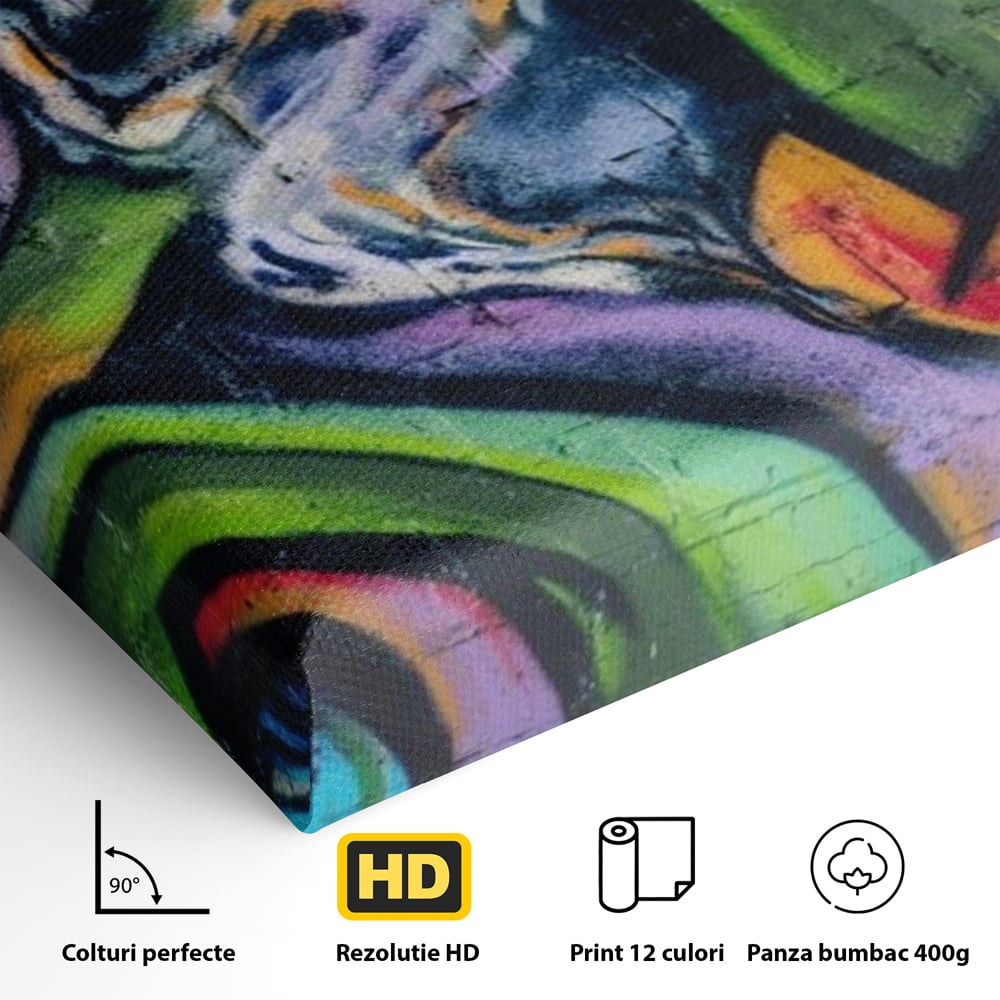 Tablou Canvas Premium LuxCanva® A1090, Graffiti , Abstract, Street Art, Multicolor, Culori Vibrante