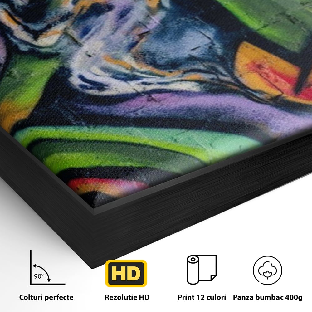 Tablou Canvas Premium LuxCanva® A1090, Graffiti , Abstract, Street Art, Multicolor, Culori Vibrante