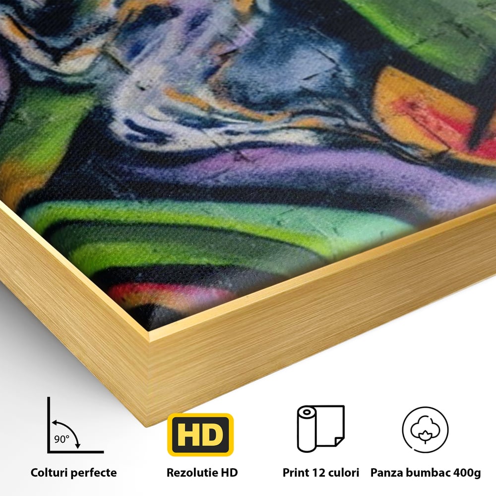 Tablou Canvas Premium LuxCanva® A1090, Graffiti , Abstract, Street Art, Multicolor, Culori Vibrante