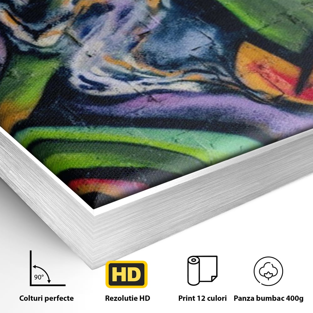 Tablou Canvas Premium LuxCanva® A1090, Graffiti , Abstract, Street Art, Multicolor, Culori Vibrante