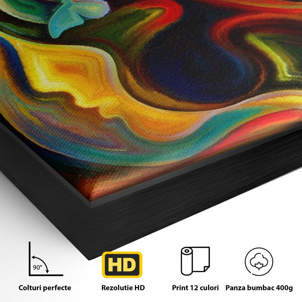 Tablou Canvas Premium LuxCanva® A1092, Butterfly Dream ,  Abstract, Fluturi, Vis Colorat, Culori Vibrante