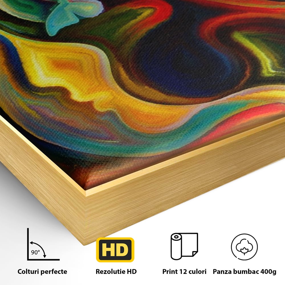 Tablou Canvas Premium LuxCanva® A1092, Butterfly Dream ,  Abstract, Fluturi, Vis Colorat, Culori Vibrante