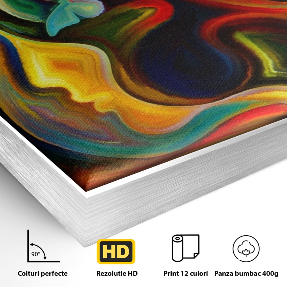 Tablou Canvas Premium LuxCanva® A1092, Butterfly Dream ,  Abstract, Fluturi, Vis Colorat, Culori Vibrante