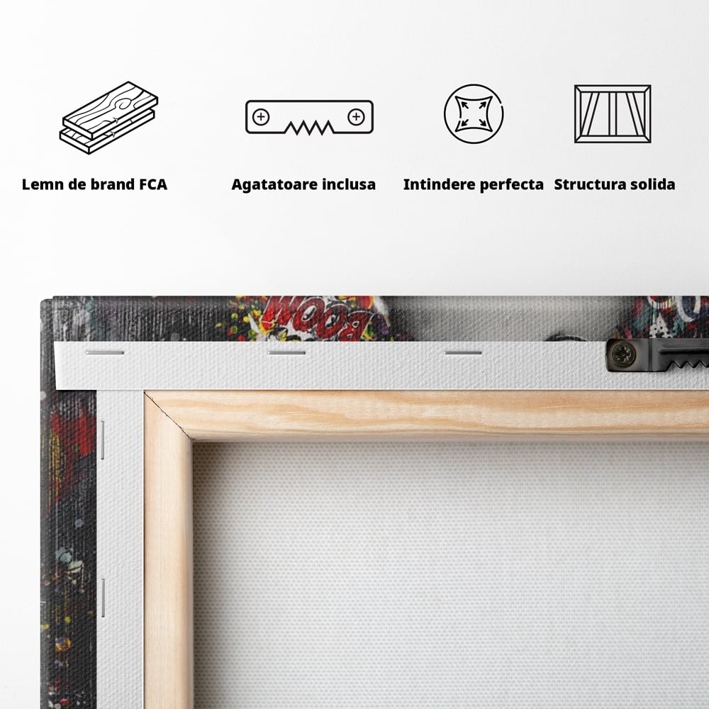 Tablou Canvas Premium LuxCanva® A1137, Color Baby , Copil, Par Coloar, Baby Cool, Culori Vibrante