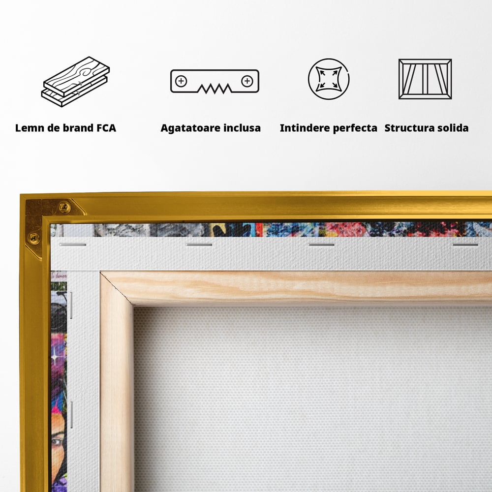 Leinwandbilder Premium LuxCanva® A1150, Medellin Kunst , Dekorativ, Urban Art, Graffiti, Menschen, Lebendige Farben