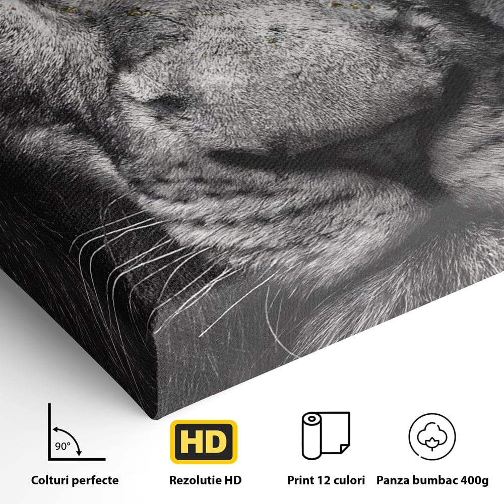 Leinwandbilder Premium-Leinwandkunst LuxCanva® A1167, Löwe mit blauen Augen , Dekorativ, Wohnen, Wohnzimmer, Tier, Dschungelkönig, Lebendige Farben