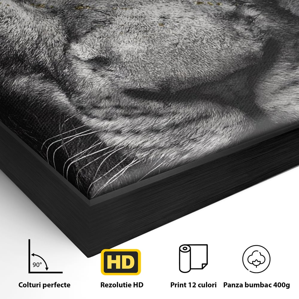 Leinwandbilder Premium-Leinwandkunst LuxCanva® A1167, Löwe mit blauen Augen , Dekorativ, Wohnen, Wohnzimmer, Tier, Dschungelkönig, Lebendige Farben