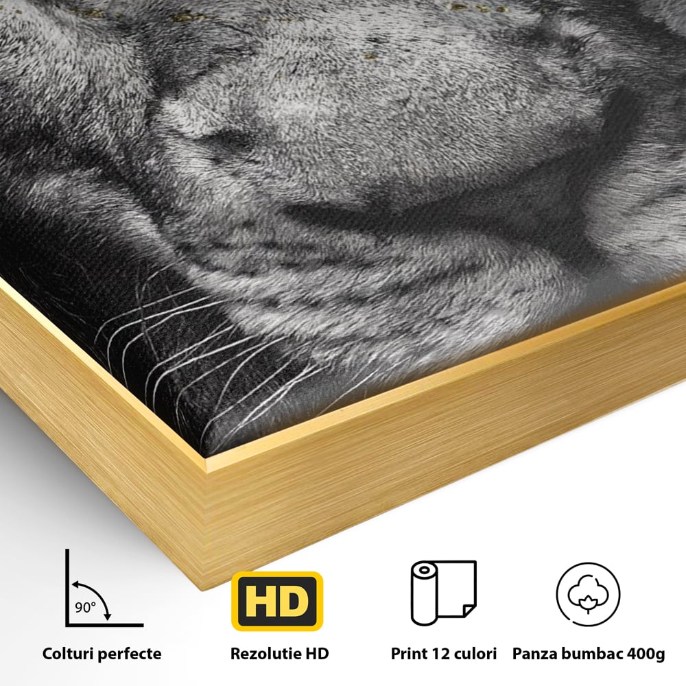 Leinwandbilder Premium-Leinwandkunst LuxCanva® A1167, Löwe mit blauen Augen , Dekorativ, Wohnen, Wohnzimmer, Tier, Dschungelkönig, Lebendige Farben