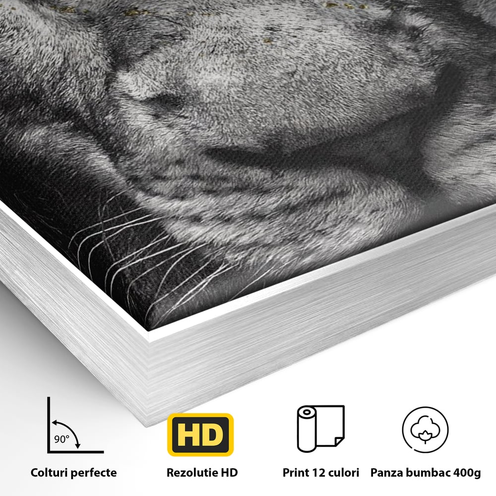 Leinwandbilder Premium-Leinwandkunst LuxCanva® A1167, Löwe mit blauen Augen , Dekorativ, Wohnen, Wohnzimmer, Tier, Dschungelkönig, Lebendige Farben