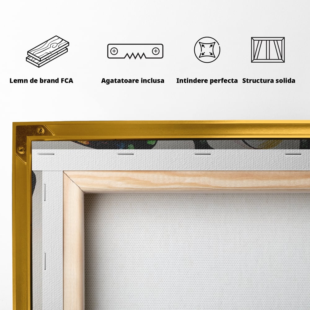 Tablou Canvas Premium LuxCanva® A1168, Crazy Frog , Decorativ, Living, Broasca, Ochelari, Culori Vibrante