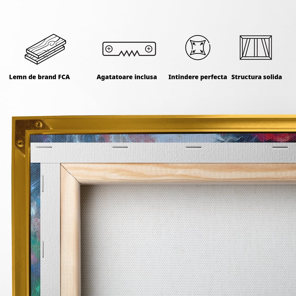 Tablou Canvas Premium LuxCanva® A1185, Colorful Cosmos , Colorat, Spatiu, Dormitor Abstract, Culori Vibrante