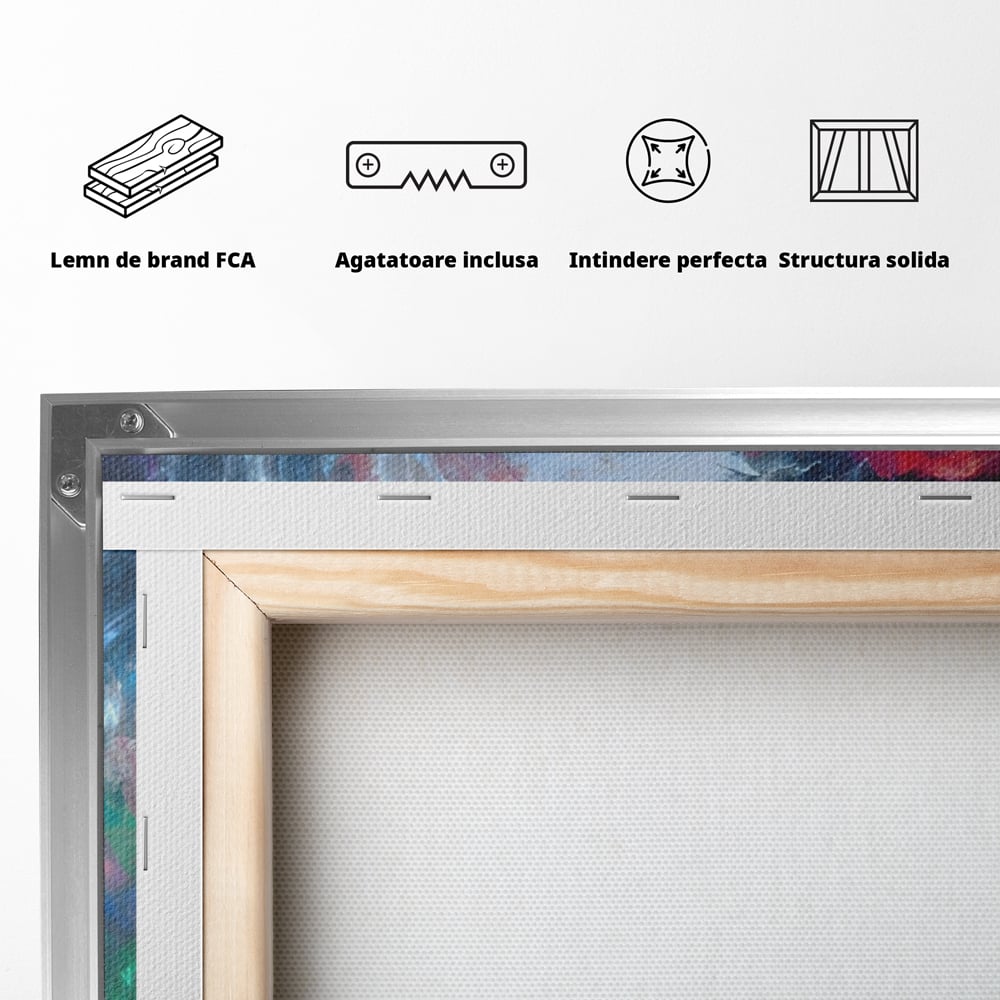 Tablou Canvas Premium LuxCanva® A1185, Colorful Cosmos , Colorat, Spatiu, Dormitor Abstract, Culori Vibrante