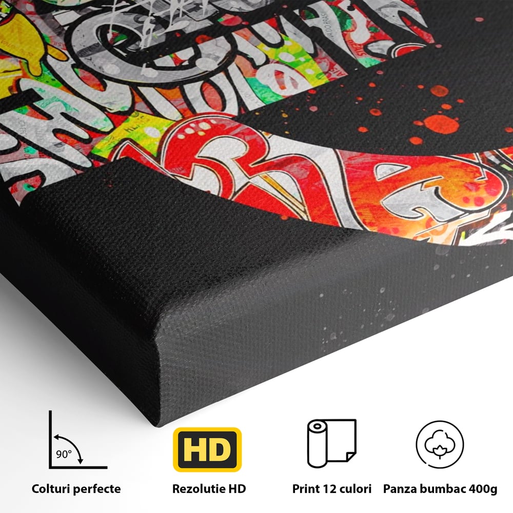 Tablou Canvas Premium LuxCanva® A1206, The Euro Sign , Decorativ, Birou, Graffiti Euro, Bani, Living, Culori Vibrante