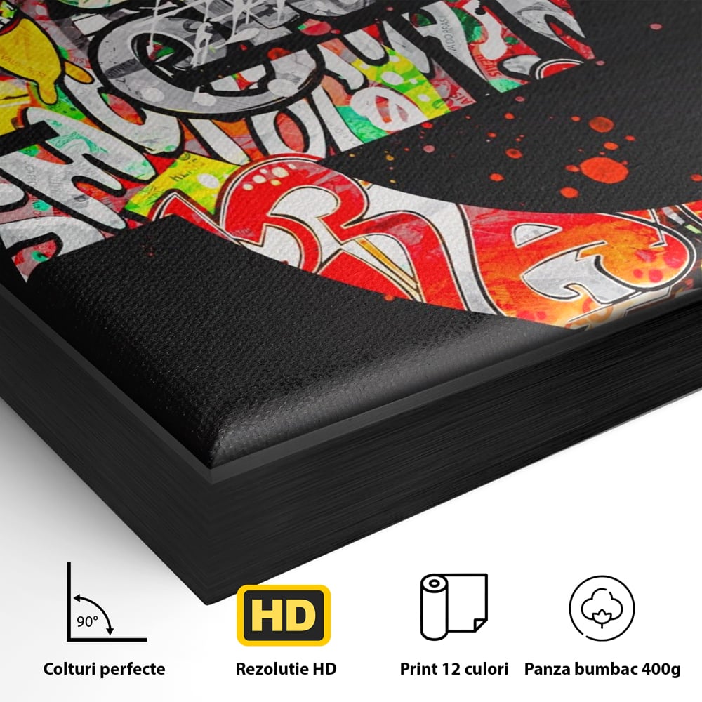 Tablou Canvas Premium LuxCanva® A1206, The Euro Sign , Decorativ, Birou, Graffiti Euro, Bani, Living, Culori Vibrante
