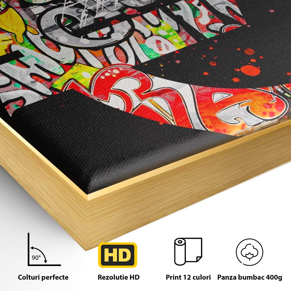 Tablou Canvas Premium LuxCanva® A1206, The Euro Sign , Decorativ, Birou, Graffiti Euro, Bani, Living, Culori Vibrante