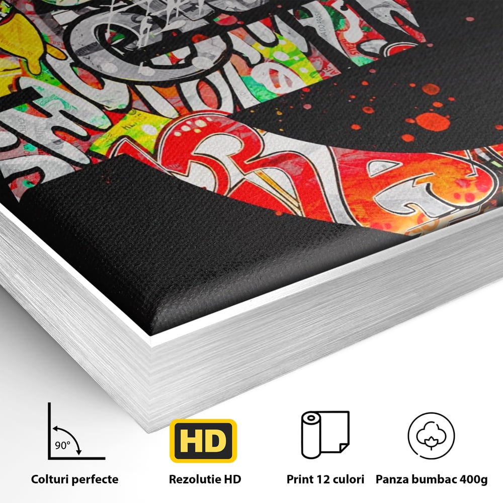 Tablou Canvas Premium LuxCanva® A1206, The Euro Sign , Decorativ, Birou, Graffiti Euro, Bani, Living, Culori Vibrante