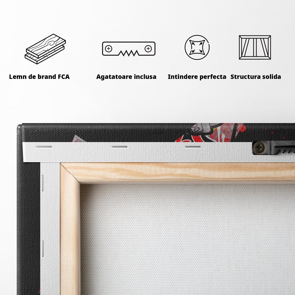 Tablou Canvas Premium LuxCanva® A1206, The Euro Sign , Decorativ, Birou, Graffiti Euro, Bani, Living, Culori Vibrante
