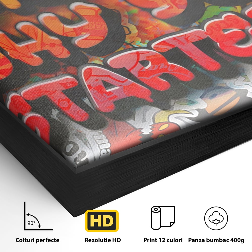Tablou Canvas Premium LuxCanva® A1207, Remeber Why You Started? , Decorativ, Birou, Motivational, Graffiti, Colorat, Living, Culori Vibrante