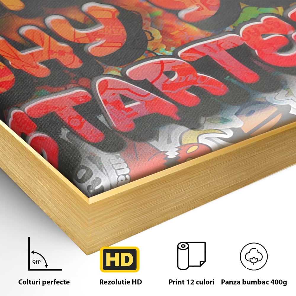 Tablou Canvas Premium LuxCanva® A1207, Remeber Why You Started? , Decorativ, Birou, Motivational, Graffiti, Colorat, Living, Culori Vibrante