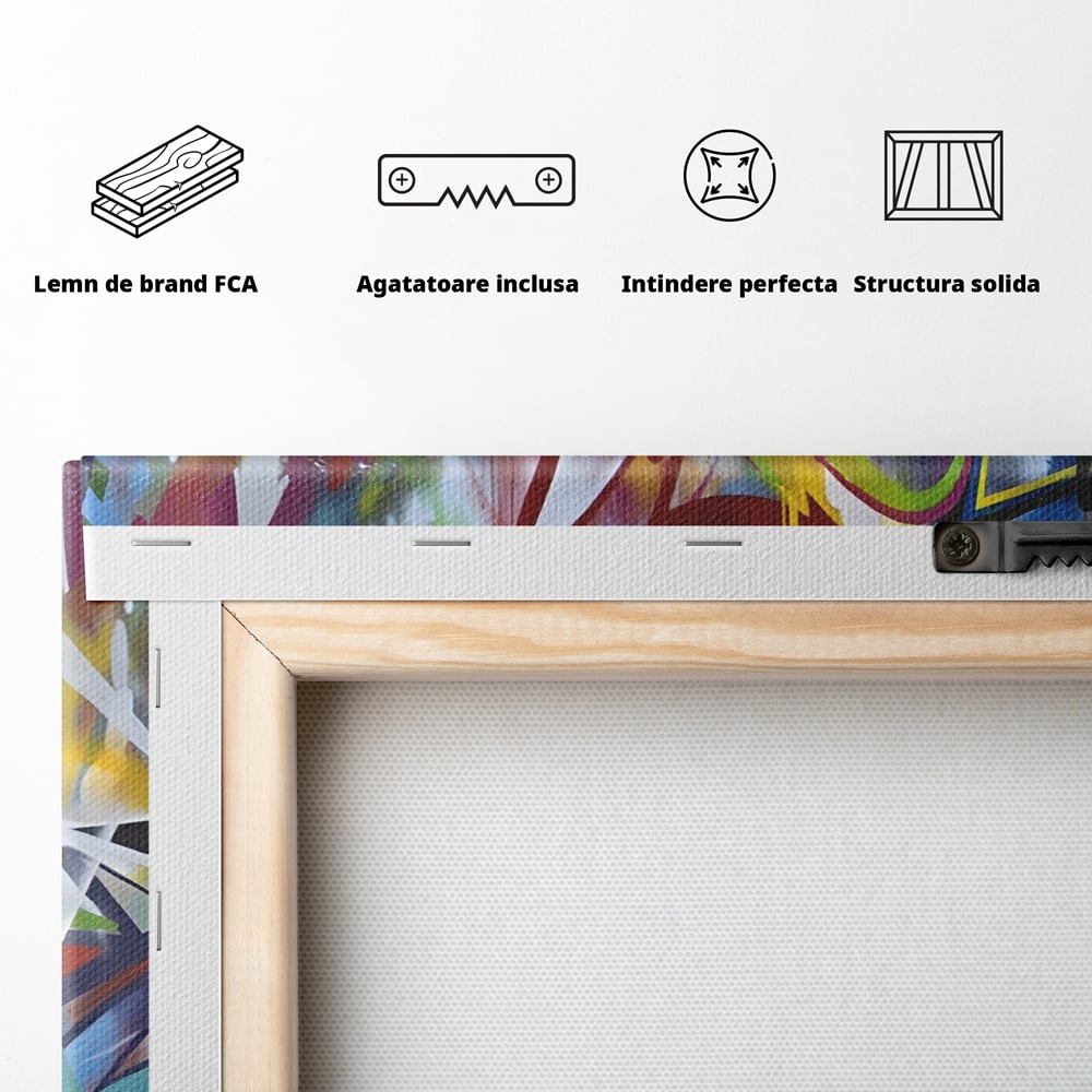 Tablou Canvas Premium LuxCanva® A1210, Graffiti Blue , Decorativ, Living, Arta Stradala, Colorat, Hol, Culori Vibrante