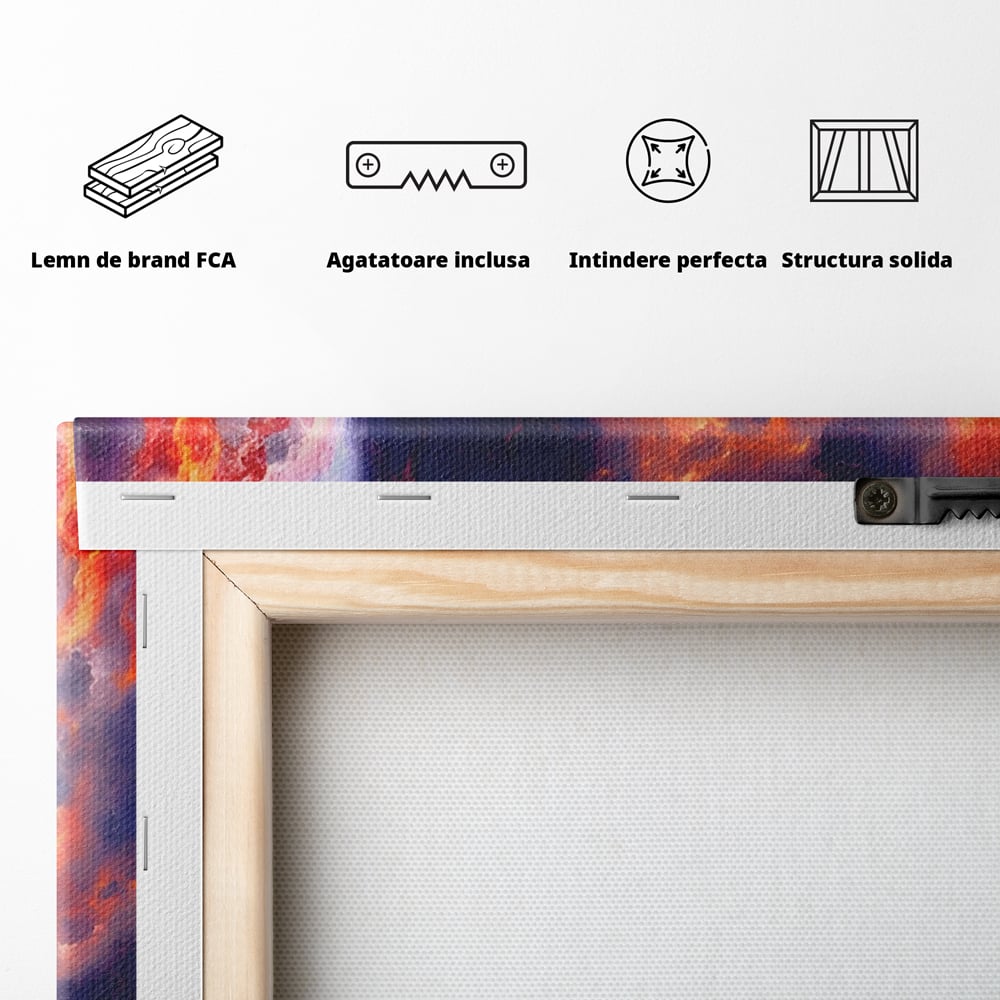 Tablou Canvas Premium LuxCanva® A1212, Colorful , Colorat, Multicolor, Abstract, Dormitor, Culori Vibrante