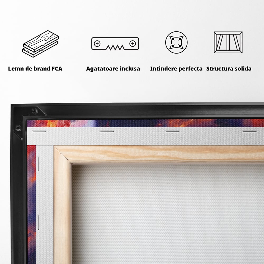 Tablou Canvas Premium LuxCanva® A1212, Colorful , Colorat, Multicolor, Abstract, Dormitor, Culori Vibrante