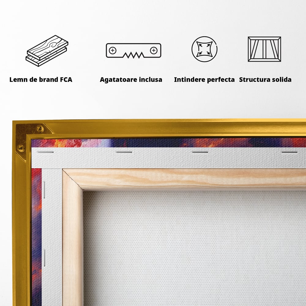 Tablou Canvas Premium LuxCanva® A1212, Colorful , Colorat, Multicolor, Abstract, Dormitor, Culori Vibrante