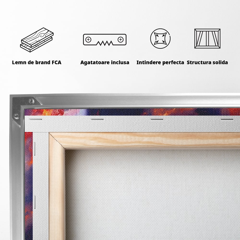 Tablou Canvas Premium LuxCanva® A1212, Colorful , Colorat, Multicolor, Abstract, Dormitor, Culori Vibrante