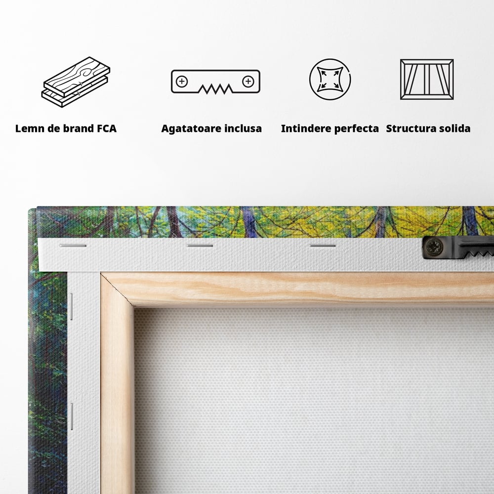 Tablou Canvas Premium LuxCanva® A1234, Aleea Din Padure , Decorativ, Living, Natura, Verde, Copaci, Iarba, Arbori, Dormitor, Culori Vibrante