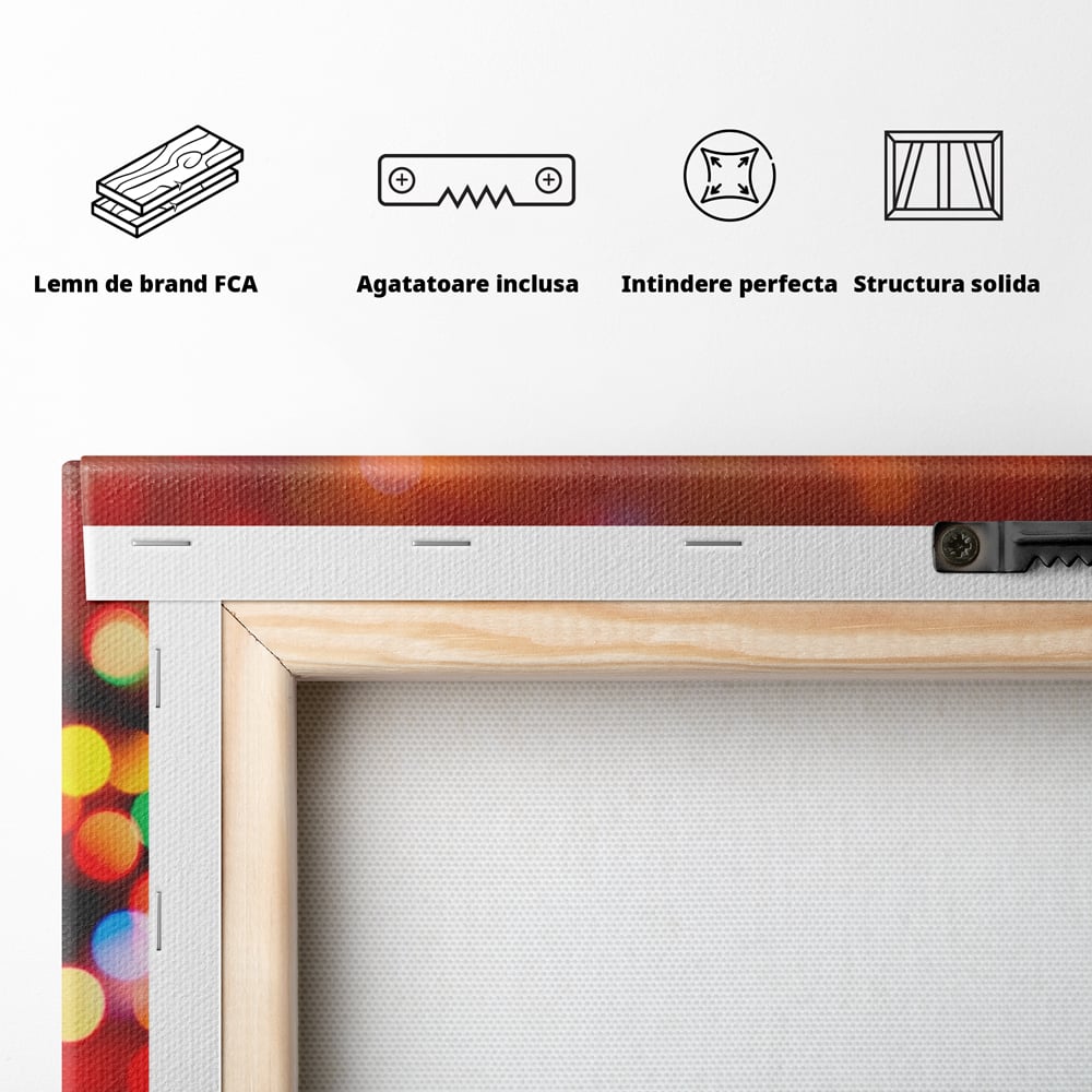 Tablou Canvas Premium LuxCanva® A1255, Lumini, Decorativ, Living, Colorat, Multicolor, Dormitor, Culori Vibrante