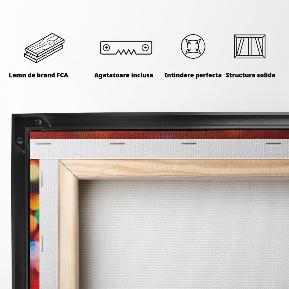 Tablou Canvas Premium LuxCanva® A1255, Lumini, Decorativ, Living, Colorat, Multicolor, Dormitor, Culori Vibrante
