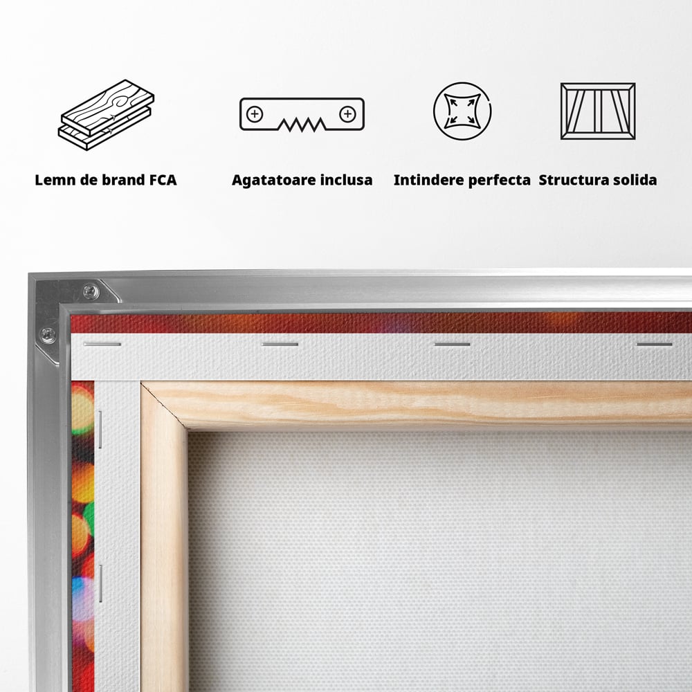 Tablou Canvas Premium LuxCanva® A1255, Lumini, Decorativ, Living, Colorat, Multicolor, Dormitor, Culori Vibrante