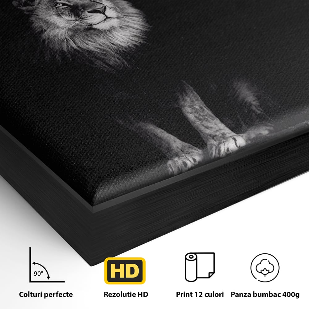 Tablou Canvas Premium LuxCanva® A1258, Leu Alb-Negru, Animal, Regele Junglei, Safari, Dormitor, Decorativ