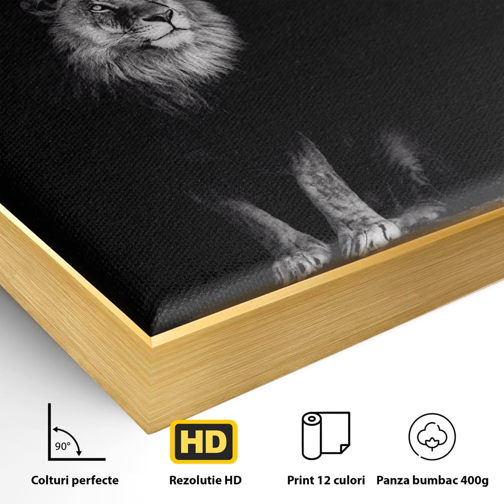 Tablou Canvas Premium LuxCanva® A1258, Leu Alb-Negru, Animal, Regele Junglei, Safari, Dormitor, Decorativ