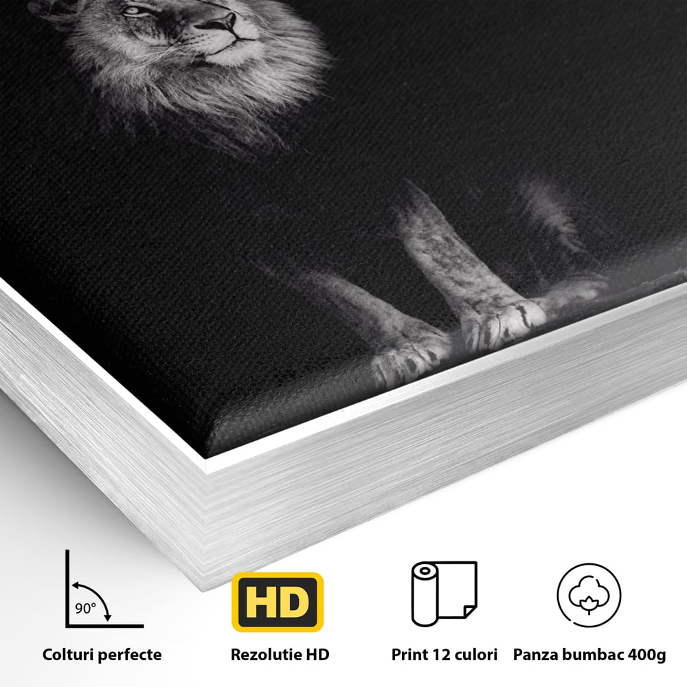Tablou Canvas Premium LuxCanva® A1258, Leu Alb-Negru, Animal, Regele Junglei, Safari, Dormitor, Decorativ