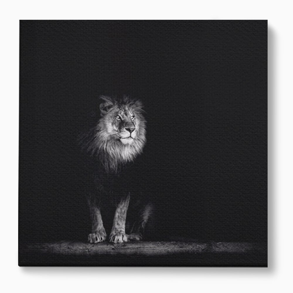 Tablou Canvas Premium LuxCanva® A1258, Leu Alb-Negru, Animal, Regele Junglei, Safari, Dormitor, Decorativ