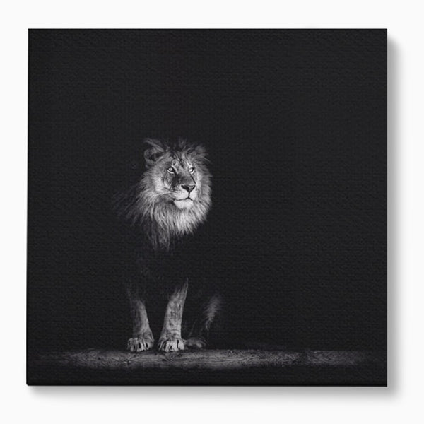 Tablou Canvas Premium LuxCanva® A1258, Leu Alb-Negru, Animal, Regele Junglei, Safari, Dormitor, Decorativ