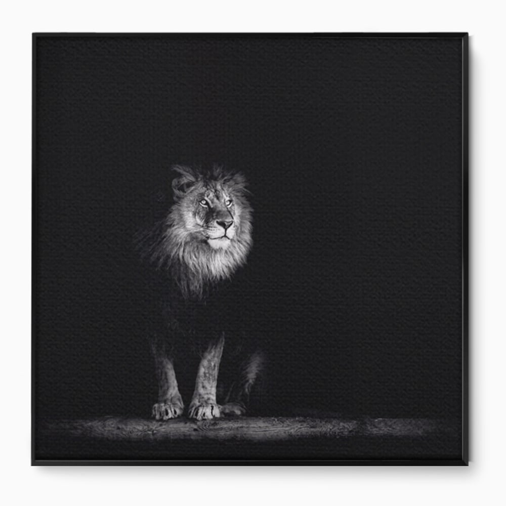 Tablou Canvas Premium LuxCanva® A1258, Leu Alb-Negru, Animal, Regele Junglei, Safari, Dormitor, Decorativ
