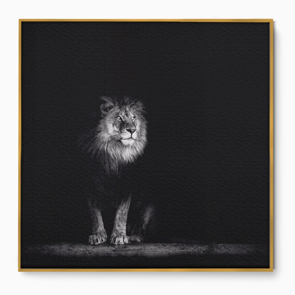 Tablou Canvas Premium LuxCanva® A1258, Leu Alb-Negru, Animal, Regele Junglei, Safari, Dormitor, Decorativ